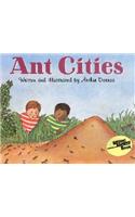 Ant Cities