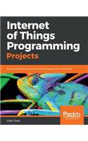 Internet of Things Programming Projects