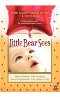 Little Bear Sees