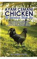 Ayam Cemani Chicken - The Indonesian Black Hen. A complete owner's guide to this rare pure black chicken breed. Covering History, Buying, Housing, Feeding, Health, Breeding & Showing.