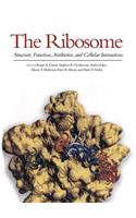 The Ribosome