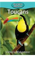 Toucans