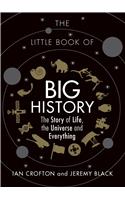 The Little Book of Big History