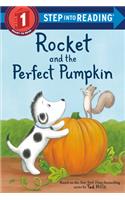 Rocket and the Perfect Pumpkin