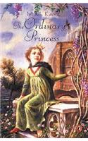 The Ordinary Princess