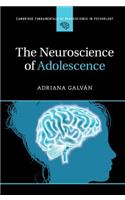 The Neuroscience of Adolescence