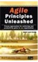 Agile Principles Unleashed: Proven approaches for achieving real productivity gains in any organization