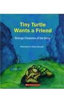 Tiny Turtle Wants A Friend