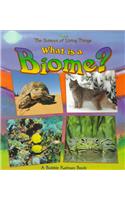 What Is a Biome?