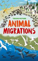 THE BIG PICTURE ANIMAL MIGRATION