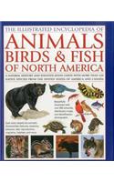 Illustrated Encyclopedia of Animals, Birds & Fish of North America