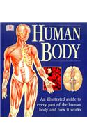 The Human Body