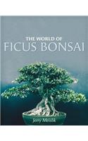 The World of Ficus Bonsai