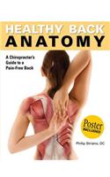 Healthy Back Anatomy