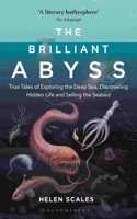 The Brilliant Abyss