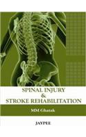 Spinal Injury and Stroke Rehabilitation