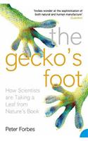 The Gecko's Foot