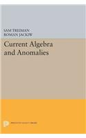 Current Algebra and Anomalies