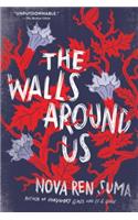 The Walls Around Us