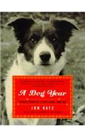 A Dog Year