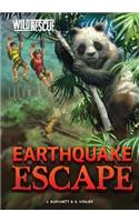 Earthquake Escape