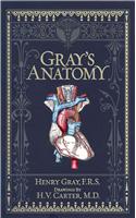 Gray's Anatomy (Barnes & Noble Omnibus Leatherbound Classics)