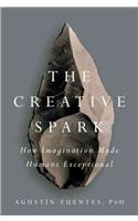 The Creative Spark