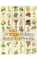 100 Vintage Botany Botanical Prints