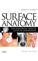 Surface Anatomy