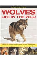 Exploring Nature: Wolves - Life in the Wild