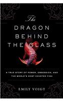 The Dragon Behind the Glass