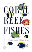 Coral Reef Fishes