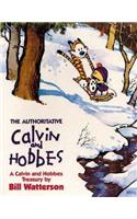 Authoritative Calvin And Hobbes