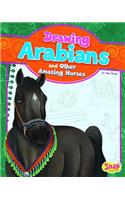 Drawing Arabians and Other Amazing Horses