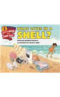 What Lives in a Shell?