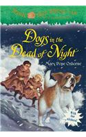 Dogs in the Dead of Night