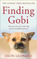 Finding Gobi (Main edition)