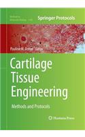 Cartilage Tissue Engineering