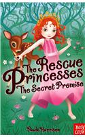 Rescue Princesses: The Secret Promise