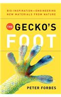 The Gecko's Foot