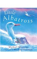 Little Albatross