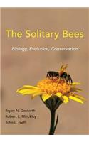 The Solitary Bees