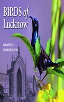 Birds of Lucknow