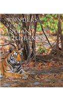 Wonders of the Indian Wilderness