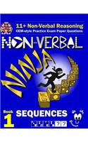 11+ Non Verbal Reasoning