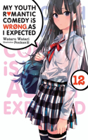 My Youth Romantic Comedy Is Wrong, as I Expected, Vol. 12 (Light Novel)